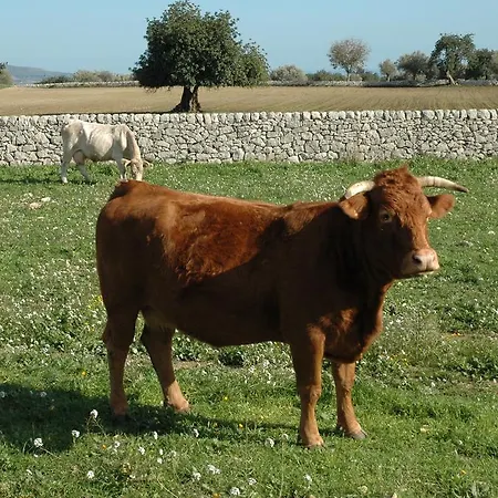 Il Melograno *
