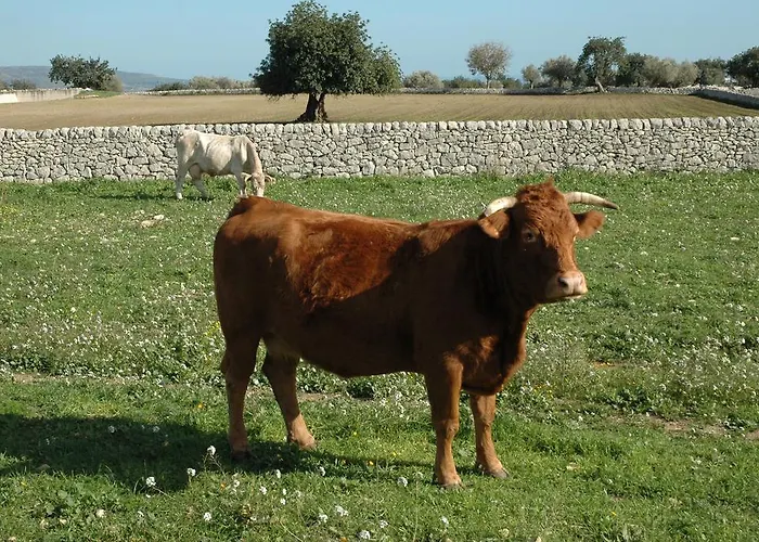 Il Melograno *